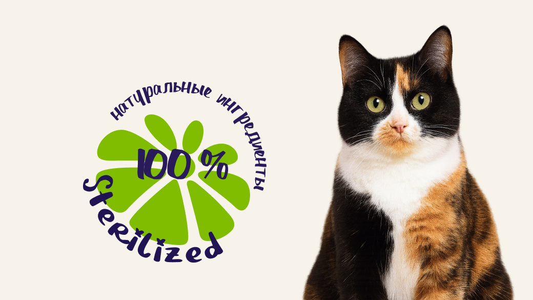 Корм для стерилизованных питомцев: почему после операции питание играет ключевую роль