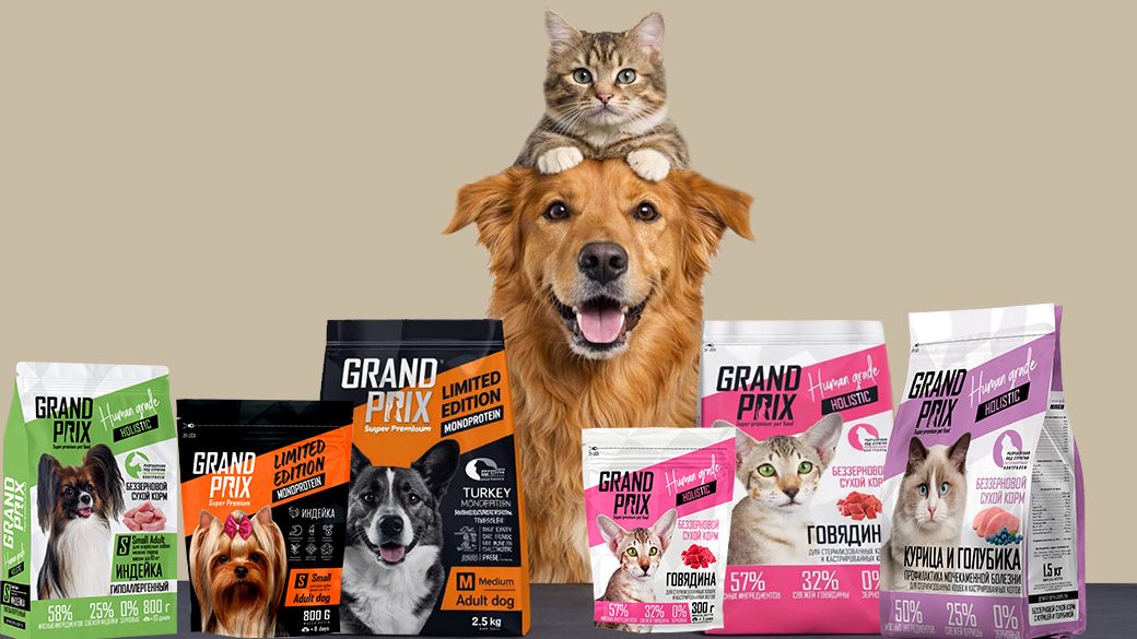 Правильный выбор корма для собак и кошек напрямую влияет на здоровье питомца