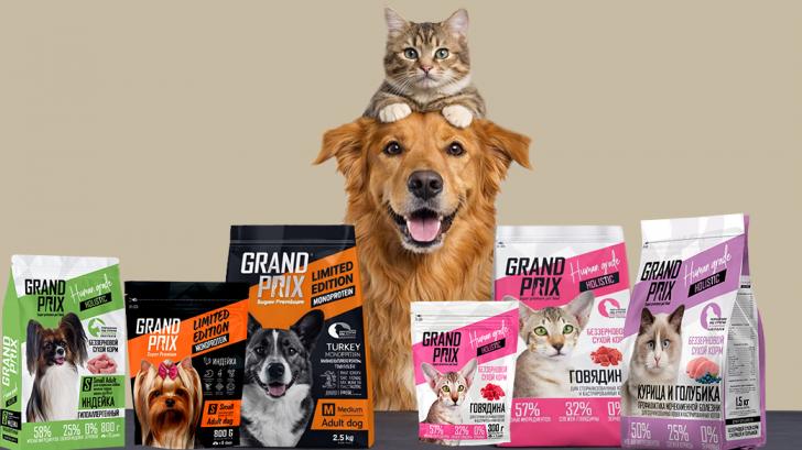 Правильный выбор корма для собак и кошек напрямую влияет на здоровье питомца