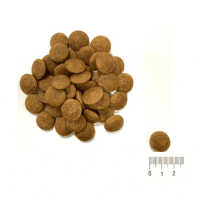 GRAND PRIX. Сухой корм с ягненком для щенков собак крупных пород (2,5 кг)